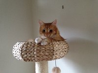 2017-04-19 18-43-07 465b838c